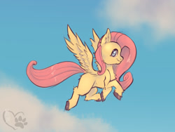 Size: 1024x768 | Tagged: safe, fluttershy, pegasus, pony, g4, chest fluff, cute, female, fluffy, flying, mare, missing cutie mark, solo, spread wings, unshorn fetlocks, wings