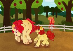 Size: 1295x900 | Tagged: safe, artist:queerhorses, apple bloom, big macintosh, oc, oc:bright bloomer, earth pony, pony, g4, butt, colt, female, foal, male, offspring, older, orchard blossom, parent:big macintosh, parent:cheerilee, parent:sugar belle, plot, trans female, transgender