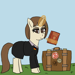 Size: 1668x1668 | Tagged: safe, artist:dafid25, oc, pony, unicorn, clothes, female, flag pin, german flag, guangdong, hitachi, lain iwakura, magic, mare, office lady, passport, skirt, solo, suitcase, telekinesis, the new order: last days of europe