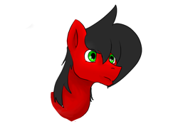 Size: 1024x768 | Tagged: safe, oc, oc only, oc:william, earth pony, pony, earth pony oc, simple background, solo, white background