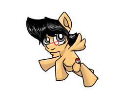 Size: 740x555 | Tagged: safe, oc, oc only, oc:nicky, pegasus, pony, glasses, pegasus oc, simple background, solo, transparent background