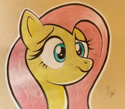 Size: 1816x1589 | Tagged: safe, artist:engi, fluttershy, pegasus, pony, g4, bust, confused, eyebrows, female, mare, outline, portrait, simple background, solo, three quarter view, traditional art, white outline