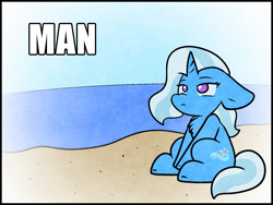 Size: 1481x1113 | Tagged: safe, artist:zutcha, trixie, pony, unicorn, g4, beach, chest fluff, cute, diatrixes, female, floppy ears, frown, man, mare, meme, no pupils, ocean, sitting, solo, text, water