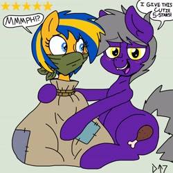 Size: 4096x4096 | Tagged: safe, artist:tenorjoane, oc, oc only, oc:darkly, oc:sparky, pony, blushing, bondage, bound and gagged, cloth gag, duo, female, gag, lesbian, mare, over the nose gag, peril, sack, sitting