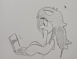 Size: 2115x1629 | Tagged: safe, artist:pony quarantine, oc, oc only, oc:anon-mare, earth pony, pony, computer, female, grayscale, laptop computer, mare, monochrome, pencil drawing, solo, traditional art