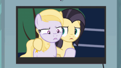 Size: 1092x611 | Tagged: safe, artist:forgalorga, cat, pony, animated, female, food, mane 6 after g4 ended, meme, ponified meme, screaming, woman yelling at a cat