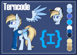 Size: 2799x2000 | Tagged: safe, artist:danger_above, oc, oc only, oc:terncode, pegasus, pony, clothes, commission, concave belly, folded wings, hat, high res, hoodie, pegasus oc, reference sheet, simple background, slender, solo, thin, wings