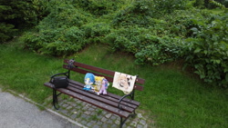 Size: 4000x2250 | Tagged: safe, artist:kuba18i, twilight sparkle, alicorn, pony, g4, anime, bag, bench, bush, clothes, crossover, grass, irl, kirisame marisa, miles "tails" prower, mizuno ami, outdoors, pavement, photo, plushie, poland, polish, ponies in real life, pony plushie, sailor mercury, sailor moon (series), socks, sonic the hedgehog (series), sosnowiec, touhou, tree, twilight sparkle (alicorn)