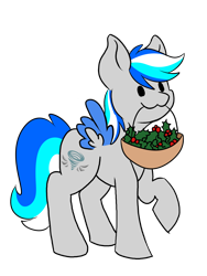 Size: 1500x2000 | Tagged: safe, artist:noxi1_48, oc, oc only, oc:hawker hurricane, pegasus, pony, daily dose of friends, basket, colored wings, holly, mouth hold, simple background, solo, transparent background, two toned wings, wings