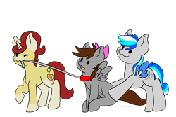 Size: 3000x2000 | Tagged: safe, artist:noxi1_48, oc, oc only, oc:cubi, oc:hawker hurricane, oc:treble pen, pegasus, pony, unicorn, daily dose of friends, bow, collar, colored wings, hair bow, high res, leash, simple background, sitting, transparent background, trio, two toned wings, wings
