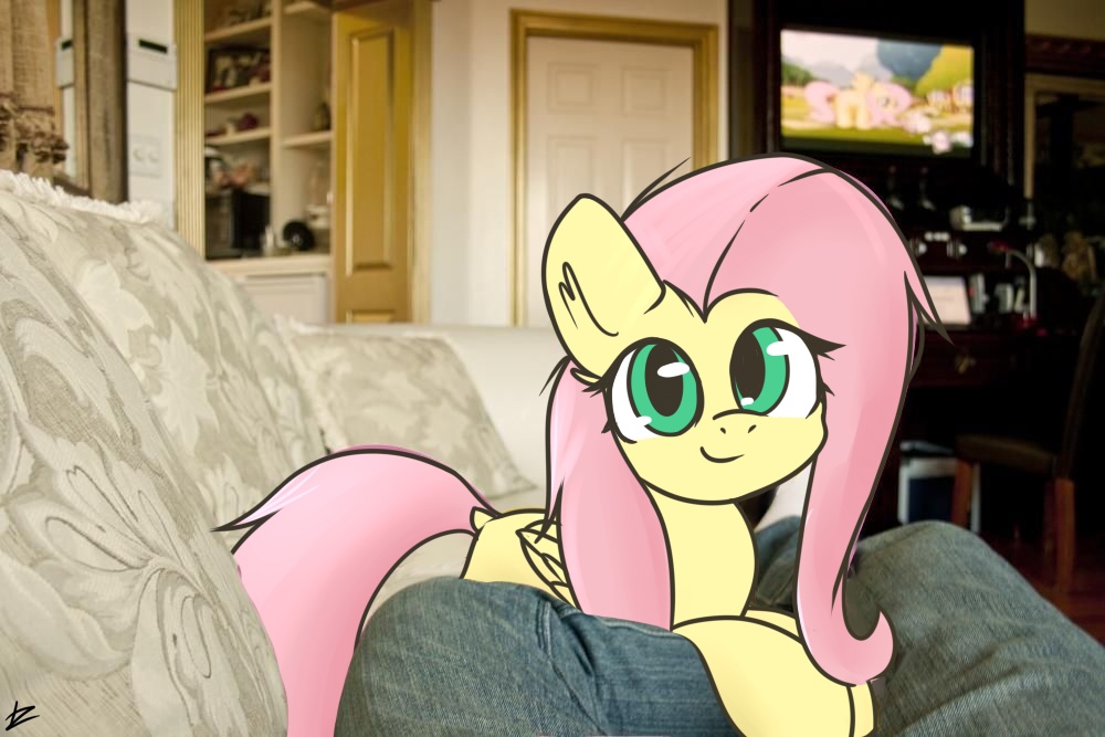 [angel bunny,animal,apple,bird house,blurry,chair,clothes,cottage,couch,cute,dock,door,female,fence,flower,fluffy,fluttershy,fluttershy's cottage,food,grass,house,hub logo,human,intro,irl,jeans,legs,logo,looking at you,mare,meme,mountain,mountain range,opening,opening theme,outdoors,pants,pegasus,photo,ponies in real life,pony,pov,prone,rabbit,safe,shelf,sky,tail,television,the hub,theme song,tree,window,wings,denim,indoors,lying down,ear fluff,shyabetes,object,soft shading,smiling,spread wings,folded wings,hub network,smiling at you,real life background,blurry background,artist:tz055]