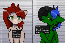 Size: 1920x1280 | Tagged: safe, artist:endelthepegasus, oc, oc:endel frostlion, oc:flappy smile, pegasus, pony, barbie mugshot meme, duo, looking at you, meme, mugshot, open mouth, smiling, smiling at you