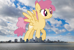 Size: 2047x1365 | Tagged: safe, anonymous editor, artist:starryshineviolet, edit, dizzy twister, orange swirl, pegasus, pony, g4, background pony, female, giant pony, giantess, highrise ponies, irl, louisiana, macro, mare, new orleans, photo, ponies in real life, solo