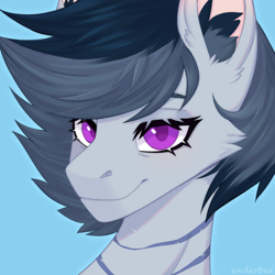 Size: 2048x2048 | Tagged: safe, artist:enderbee, oc, oc only, oc:engel, pegasus, pony, blue background, bust, colored, ear fluff, high res, icon, looking at you, portrait, simple background, sketch, smiling, smiling at you, solo, wings