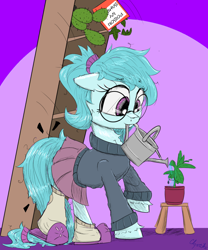 Size: 1650x1979 | Tagged: safe, artist:chopsticks, oc, oc only, oc:whispy slippers, earth pony, pony, bump, cactus, cheek fluff, chest fluff, clothes, colored sketch, cute, earth pony oc, eyebrows, eyebrows visible through hair, falling, female, floppy ears, glasses, mare, mouth hold, ocbetes, plant, poison ivy, ponytail, simple background, sketch, skirt, slippers, socks, solo, stool, sweater, this will end in pain, this will end in tears, unshorn fetlocks, watering can