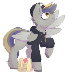 Size: 1280x1363 | Tagged: safe, artist:umbreow, oc, oc only, oc:foggy sunrise, pegasus, pony, cap, clothes, first aid kit, hat, hoodie, male, simple background, solo, stallion, transparent background