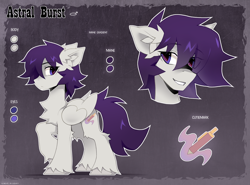 Size: 2300x1700 | Tagged: safe, alternate version, artist:zlatavector, oc, oc only, oc:astral burst, pegasus, pony, bust, chest fluff, commission, cutie mark, ear fluff, looking back, male, palette swap, recolor, reference sheet, smiling, solo, stallion