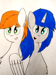 Size: 3000x4000 | Tagged: safe, artist:thunderrainbowshadow, oc, oc only, oc:jazz, oc:silver bell, pegasus, pony, unicorn, best friends, duo, duo male, male, simple background, smiling, stallion, traditional art, white background