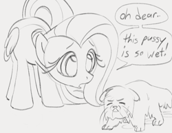 Size: 961x742 | Tagged: safe, artist:dotkwa, fluttershy, cat, pegasus, pony, g4, cute, dialogue, double entendre, female, gray background, grayscale, mare, monochrome, painfully innocent fluttershy, phrasing, semi-vulgar, shyabetes, simple background, sketch, speech bubble, wet