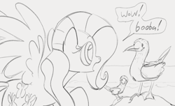 Size: 1166x707 | Tagged: safe, artist:dotkwa, fluttershy, bird, booby, pegasus, pony, g4, dialogue, double entendre, female, gray background, grayscale, mare, monochrome, painfully innocent fluttershy, simple background, sketch, spread wings, wings