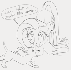 Size: 1003x981 | Tagged: safe, artist:dotkwa, fluttershy, dachshund, dog, pegasus, pony, g4, butt, cute, dialogue, double entendre, female, gray background, grayscale, mare, monochrome, open mouth, open smile, painfully innocent fluttershy, phrasing, plot, shyabetes, simple background, sketch, smiling, solo, speech bubble