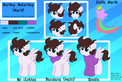 Size: 3000x2013 | Tagged: safe, artist:saveraedae, oc, oc only, oc:markey malarkey, pegasus, pony, bandana, clothes, colt, foal, high res, hoodie, male, pegasus oc, reference sheet, show accurate, solo, teenager, the mark side