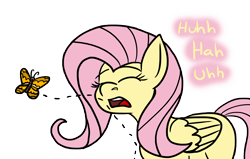 Size: 12000x7648 | Tagged: safe, artist:graymist, fluttershy, butterfly, pony, g4, colored, cute, eyelashes, eyes closed, female, innocent, mare, missing cutie mark, nostril flare, nostrils, open mouth, pre sneeze, simple background, sneezing, transparent background
