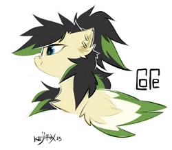 Size: 1438x1258 | Tagged: safe, artist:kejifox, oc, oc only, pegasus, pony, bust, chest fluff, signature, simple background, solo, white background