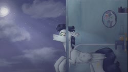 Size: 1278x720 | Tagged: safe, artist:echoes of the voice, artist:ugly mug, rainbow dash, soarin', pegasus, pony, g4, fanfic, fanfic art, implied shipping, implied soarindash, implied straight, male, moon, moonlight, night, photo, sky, stallion, window, youtube link