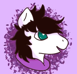 Size: 1315x1262 | Tagged: safe, artist:paint22, oc, oc only, oc:markey malarkey, pony, bust, crossover, portrait, purple background, simple background, solo, the mark side