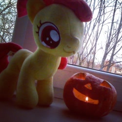 Size: 566x566 | Tagged: safe, apple bloom, earth pony, pony, g4, 2015, :3, female, filly, foal, halloween, holiday, irl, jack-o-lantern, photo, plushie, pumpkin, solo