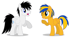 Size: 8500x4500 | Tagged: safe, artist:creedyboy124, oc, oc only, oc:flare spark, oc:shane park, pegasus, pony, g4, absurd resolution, duo, duo male and female, eye contact, female, folded wings, frown, grin, looking at each other, looking at someone, male, mare, meeting, one eye closed, open mouth, pegasus oc, raised hoof, shadow, simple background, smiling, stallion, surprised, transparent background, waving, wings, wink
