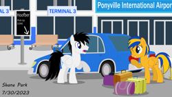 Size: 11000x6208 | Tagged: safe, artist:creedyboy124, oc, oc only, oc:flare spark, oc:shane park, g4, airport, bags, bench, car, date, female, male, mare, meeting, ponyville, sign, signature, stallion, terminal