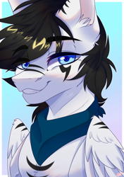 Size: 2760x3920 | Tagged: safe, artist:honeybbear, oc, oc only, pegasus, pony, bust, gradient background, high res, male, portrait, solo, stallion