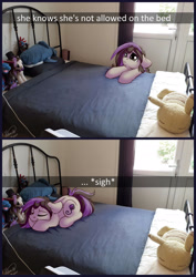 Size: 1920x2715 | Tagged: safe, artist:julunis14, oc, oc only, oc:bowtie, earth pony, pony, bed, cute, irl, photo, plushie, sleeping, solo