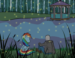 Size: 3300x2550 | Tagged: safe, artist:vareb, rainbow dash, oc, oc:anon, firefly (insect), human, insect, pegasus, pony, g4, cute, date, date night, forest, gazebo, grass, high res, lake, night, peaceful, pretty, water