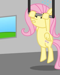 Size: 800x1000 | Tagged: safe, artist:lochlann, fluttershy, g4, bar, gym, pullup, solo, window