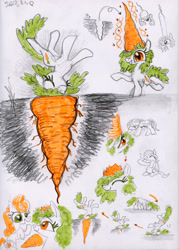 Size: 2871x4000 | Tagged: safe, artist:ja0822ck, carrot top, golden harvest, earth pony, original species, plant pony, pony, g4, abdominal bulge, carrot, food, herbivore, hungry, plant, ponified, traditional art, 🥕