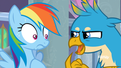 Size: 1920x1080 | Tagged: safe, edit, edited screencap, screencap, gallus, rainbow dash, griffon, pegasus, pony, g4, school daze, discovery family, discovery family logo, drool, drool string, duo, duo male and female, female, frown, galluspred, griffons doing griffon things, implied vore, logo, looking at each other, looking at someone, male, mare, mythologically accurate, nervous, open mouth, predation, sweat, tongue out