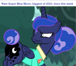 Size: 888x775 | Tagged: safe, edit, edited screencap, screencap, princess luna, alicorn, pony, between dark and dawn, g4, blue moon, butt, cropped, current events, cute, female, frown, looking back, lunabetes, mare, moon, moonbutt, one eye closed, plot, super moon, tail, tail bun, text, wavy mouth