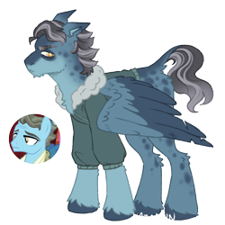 Size: 1000x1000 | Tagged: safe, artist:kazmuun, wind rider, pegasus, pony, series:kazmuun's drawing every pony, g4, alternate design, butt fluff, chest fluff, chin fluff, clothes, coat markings, colored hooves, colored pinnae, colored wings, colored wingtips, dappled, eyebrow slit, eyebrows, gradient ears, gradient mane, gradient tail, hooves, jacket, leg fluff, looking at you, male, redesign, screencap reference, simple background, solo, stallion, standing, tail, transparent background, two toned wings, unshorn fetlocks, white pupils, wings, wings down