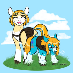 Size: 1280x1280 | Tagged: safe, artist:thiscatdraws, oc, oc only, oc:free spirit, oc:princess wildflower, earth pony, pony, angry, cloud, eyes closed, female, grass, link, male, mare, ponified, princess zelda, shipping, stallion, straight, sweat, sweatdrop, the legend of zelda, the legend of zelda: breath of the wild, the legend of zelda: tears of the kingdom, unshorn fetlocks