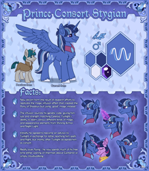 Size: 5412x6193 | Tagged: safe, artist:helmie-art, stygian, twilight sparkle, oc, oc:prince consort stygian, alicorn, pony, unicorn, g4, alicornified, annoyed, canon x oc, cape, cloak, clothes, colored hooves, cross-popping veins, ear fluff, ears back, emanata, eyes closed, female, gem, magic, magic aura, male, male alicorn, male alicorn oc, male symbol, nuzzling, peytral, purple eyes, race swap, reference sheet, smiling, spread wings, standing, straight, stygicorn, text, unshorn fetlocks, wings