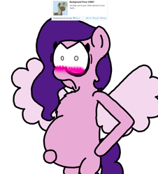 Size: 3023x3351 | Tagged: safe, artist:professorventurer, pipp petals, pegasus, pony, series:ask pippamena, g5, chest fluff, embarrassed, high res, pippamena, pregnant, primrose petals, simple background, solo, spread wings, tempting fate, white background, wings