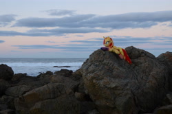 Size: 4928x3264 | Tagged: safe, artist:ponimalion, photographer:misterdogg, sunset shimmer, alicorn, pony, g4, alicornified, australia, beach, clothes, irl, photo, plushie, ponies around the world, port macquarie, race swap, socks, solo, sunset, wings