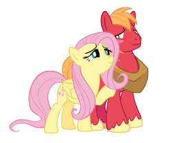 Size: 4500x3750 | Tagged: safe, anonymous artist, big macintosh, fluttershy, earth pony, pegasus, pony, g4, absurd resolution, bedroom eyes, blushing, duo, female, hoof on shoulder, looking at each other, looking at someone, male, mare, ship:fluttermac, shipping, simple background, smiling, smiling at each other, stallion, straight, transparent background, vector