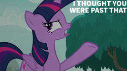 Size: 1920x1080 | Tagged: safe, edit, edited screencap, editor:quoterific, screencap, twilight sparkle, alicorn, pony, g4, non-compete clause, solo, twilight sparkle (alicorn)