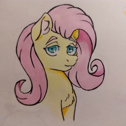 Size: 3468x3468 | Tagged: safe, artist:chacarron, fluttershy, pegasus, pony, g4, chest fluff, colored, ear fluff, female, high res, looking at you, photo, solo, traditional art