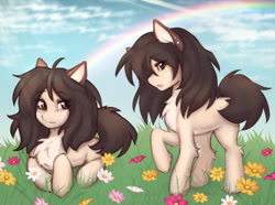 Size: 1120x834 | Tagged: safe, artist:eltaile, oc, oc only, oc:ronya, earth pony, pony, chest fluff, duality, ear piercing, female, flower, freckles, grass, grass field, jewelry, mare, piercing, rainbow