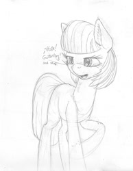 Size: 790x1020 | Tagged: safe, artist:styroponyworks, photo finish, earth pony, pony, g4, monochrome, sketch, solo, traditional art